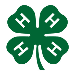 Doniphan County 4-H Organization Fund - Designated